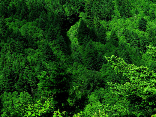 49545 (a): :1024x768